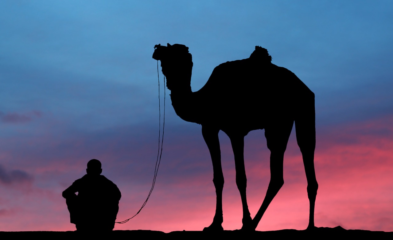 The Splendor of India's Camel Fair in Pushkar